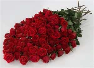 BACE_Valentines_Roses